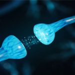 Toward brain-like computing: New memristor better mimics synapses