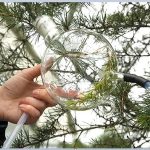Condensing one tree into another