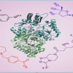 New tool for understanding enzymes — Google