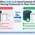 🔐 Why Hashing Is Used Instead of Storing Passwords in Plain Text